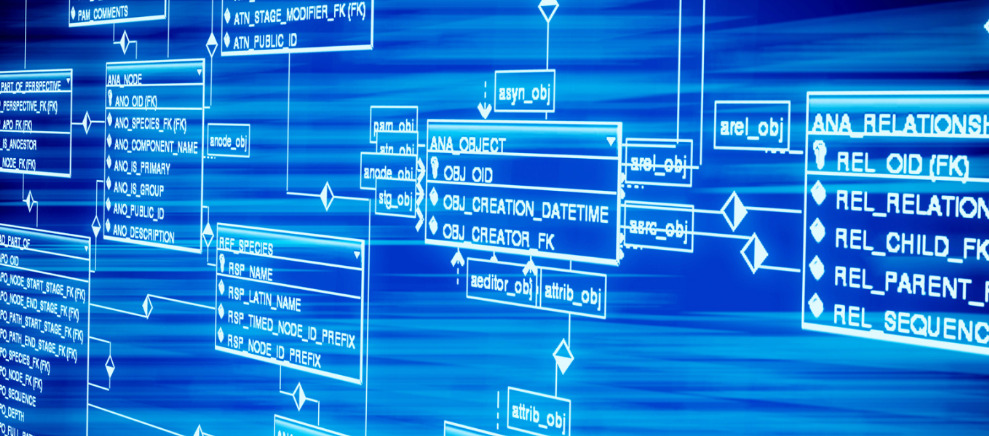 十一“趣”垦利，计划起来吧！